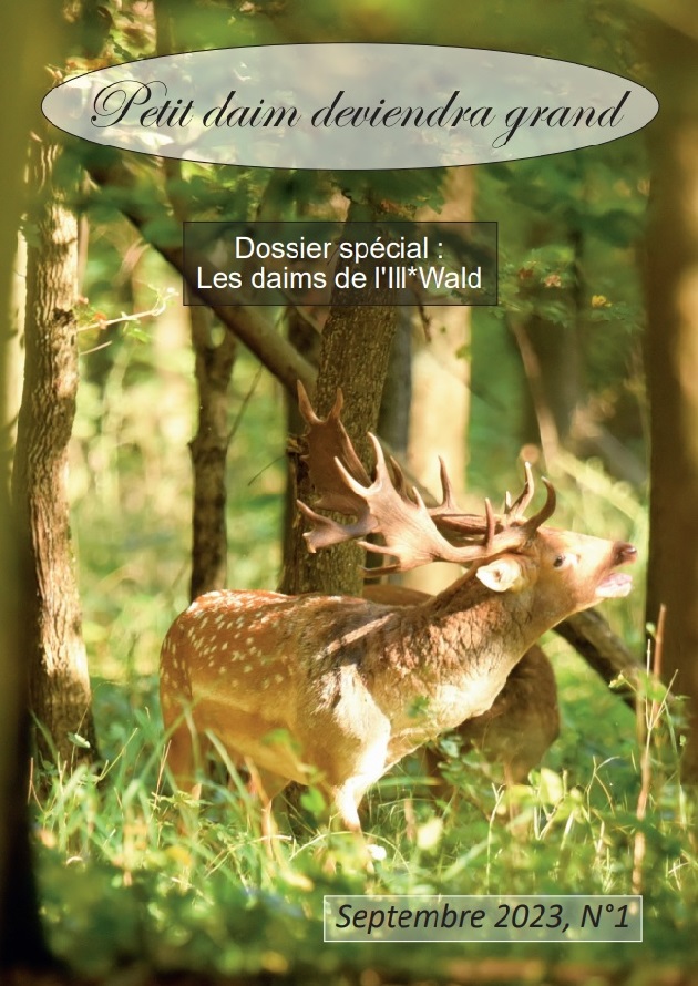 Couverture du Rte-A4-Couleurs