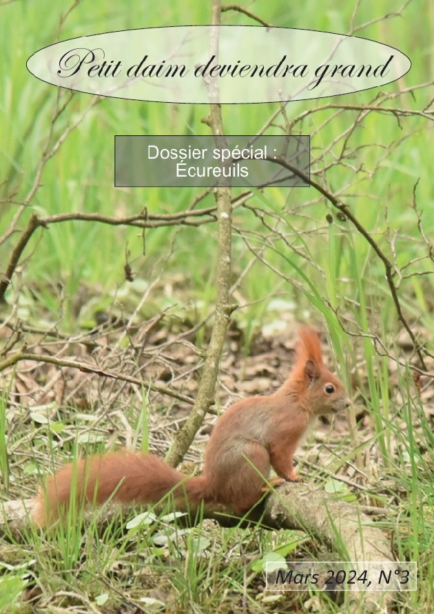 Couverture du Rte-A4-Couleurs